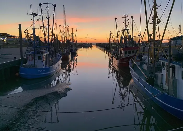 Sonnenbogen شقة دورم نيوفيلد